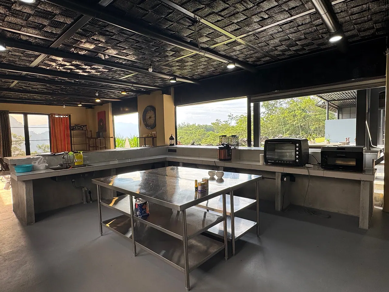 The kitchen island and counters, with windows onto the trees