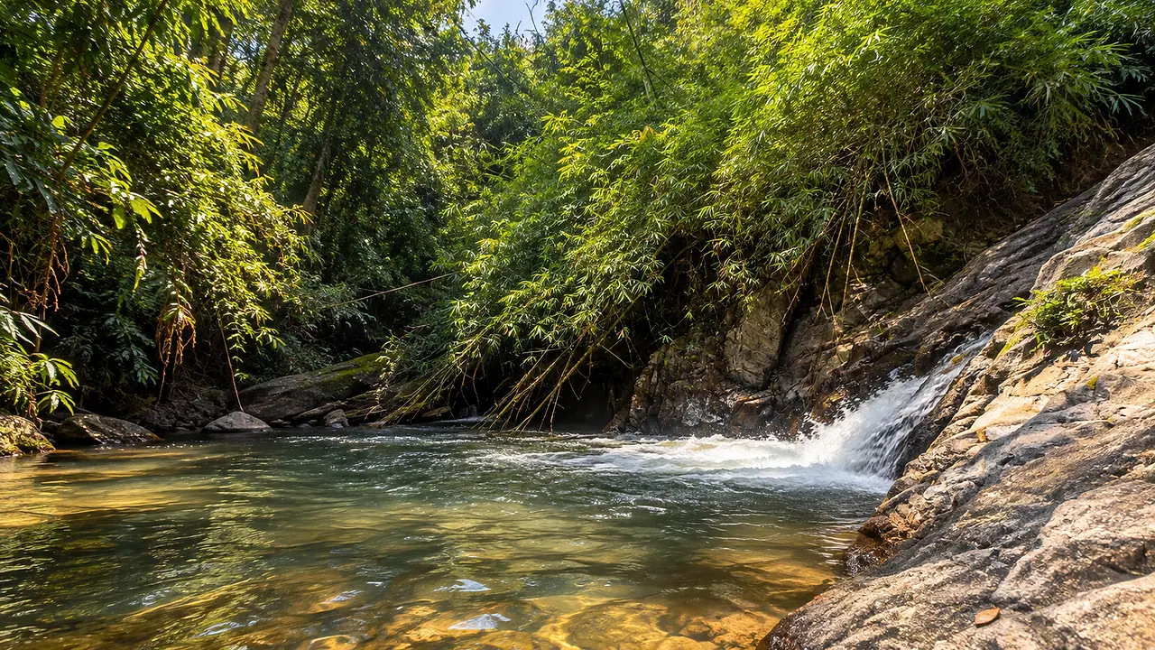 A small waterfall spilling into a clear pool in the forest